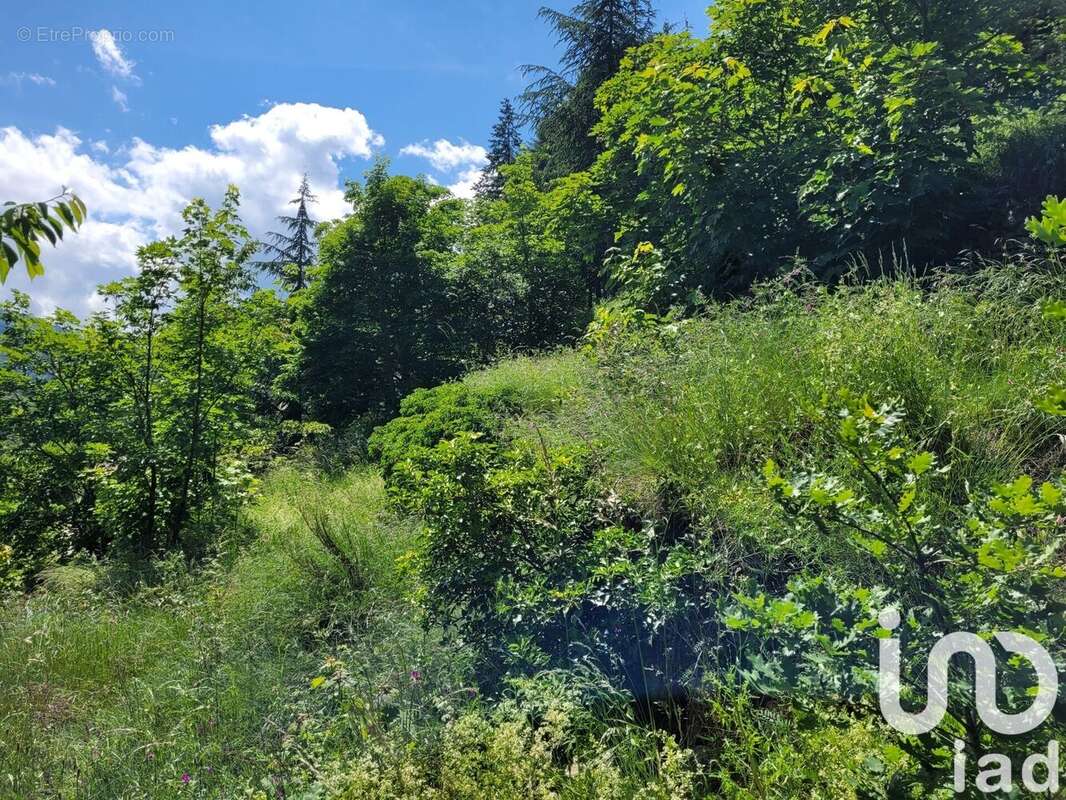 Photo 4 - Terrain à LE CHEYLARD