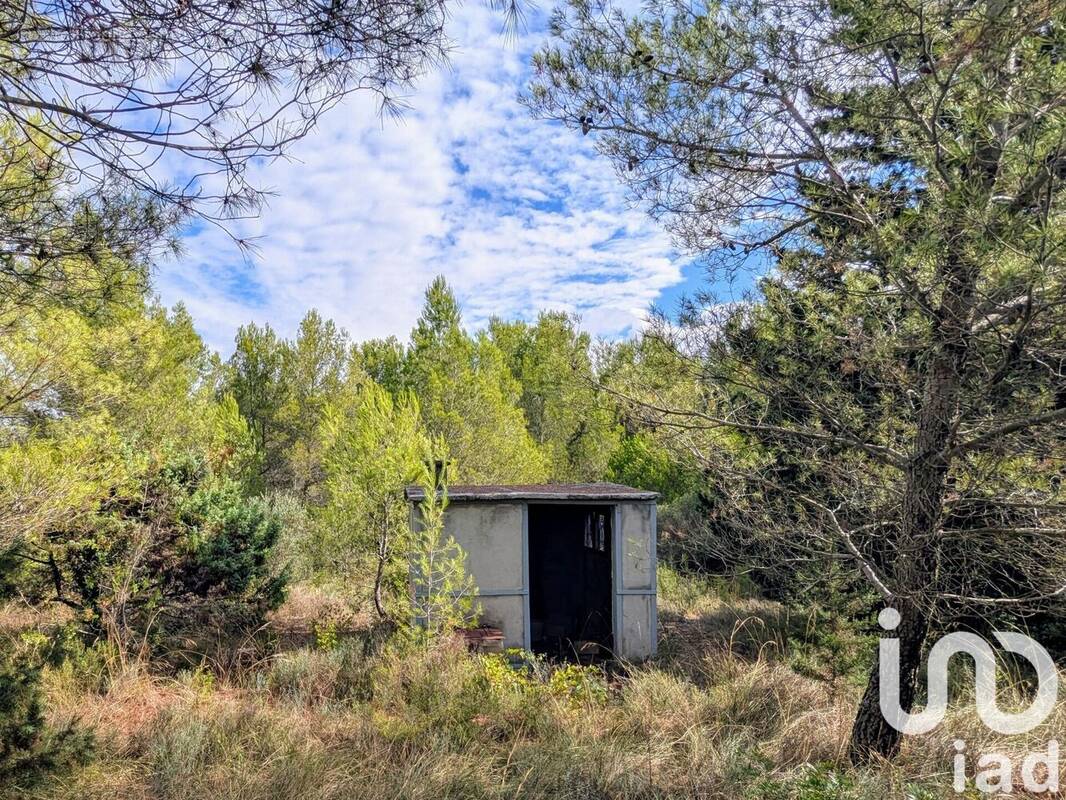 Photo 1 - Terrain à SAINT-PARGOIRE