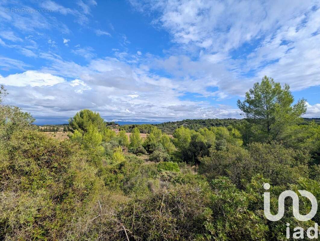 Photo 2 - Terrain à SAINT-PARGOIRE