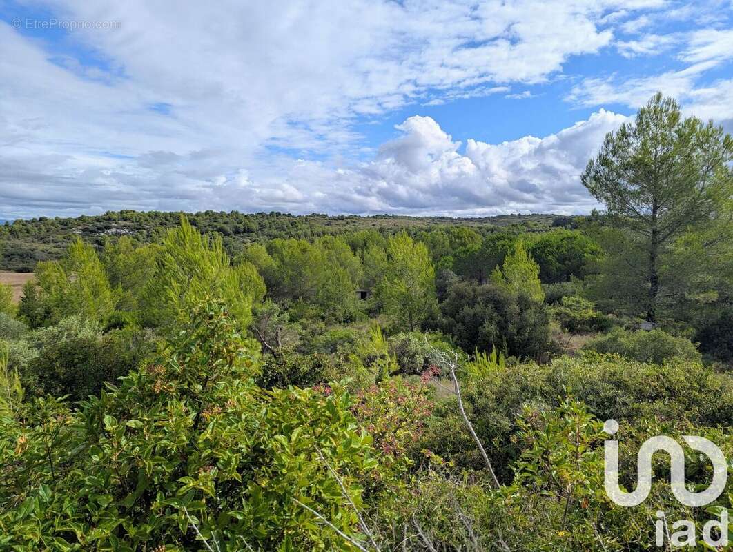 Photo 3 - Terrain à SAINT-PARGOIRE