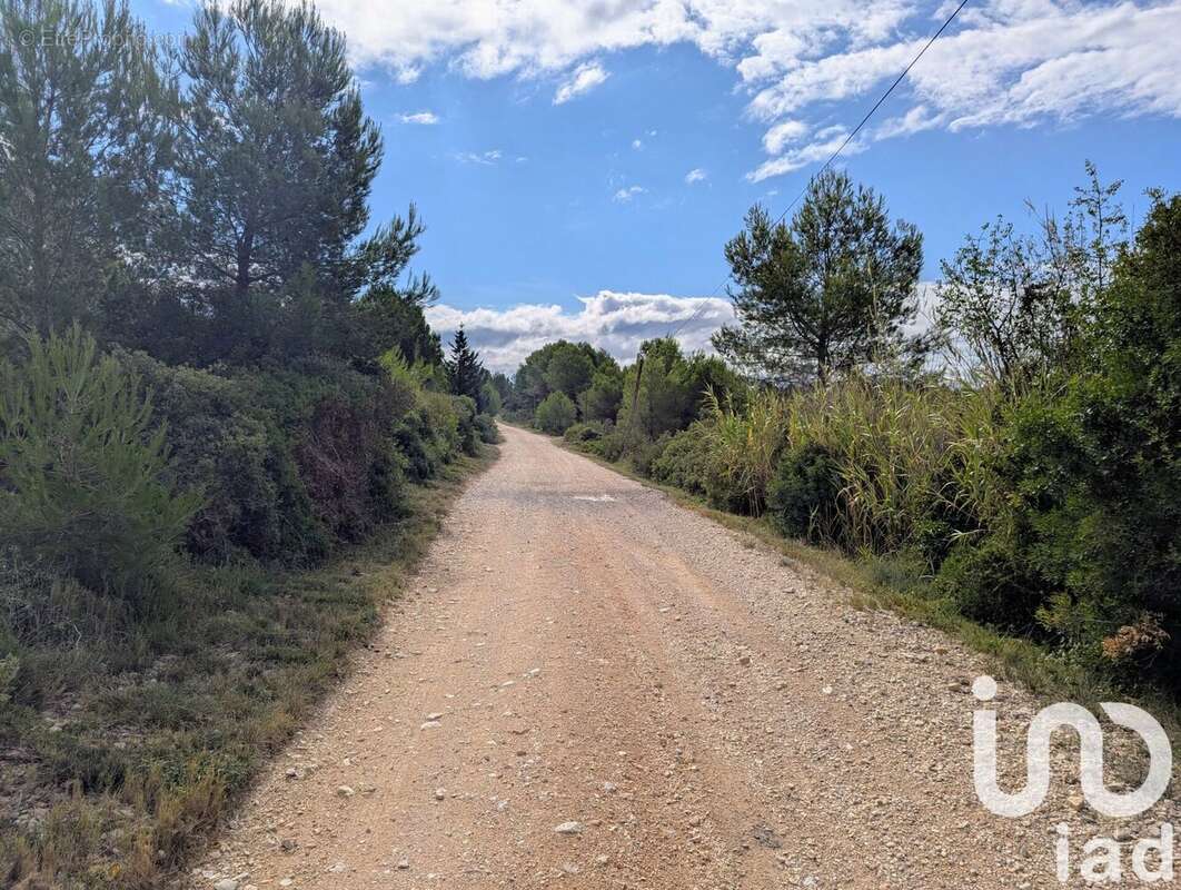 Photo 4 - Terrain à SAINT-PARGOIRE