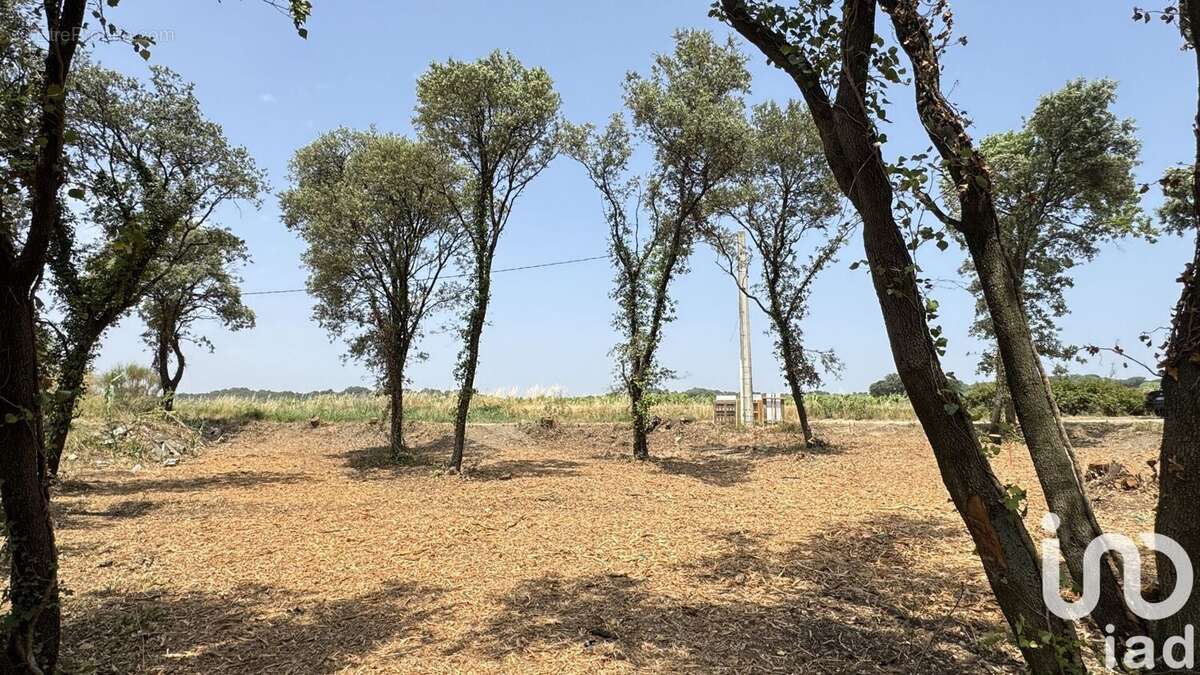 Photo 4 - Terrain à BEDARRIDES