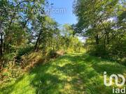 Photo 1 - Terrain à SAINT-MARTIN-L&#039;ARS