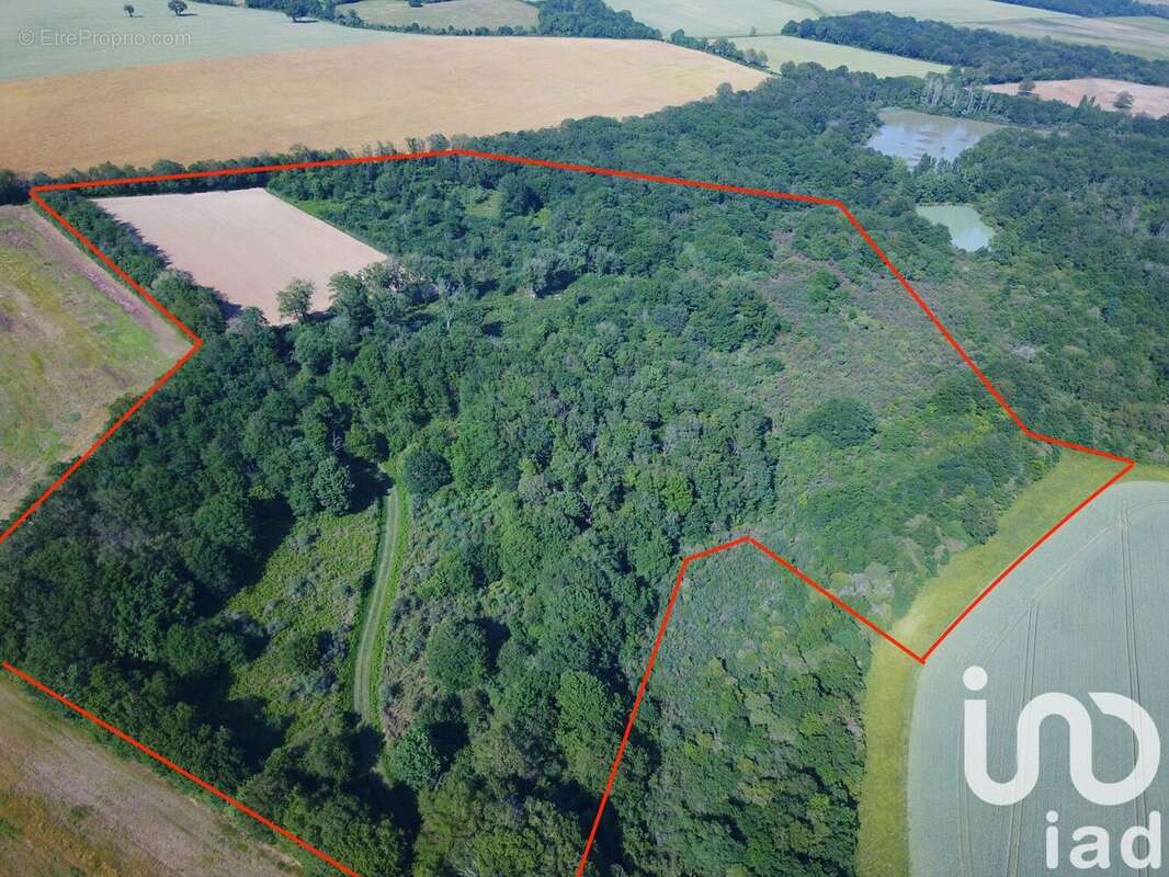 Photo 4 - Terrain à SAINT-MARTIN-L&#039;ARS