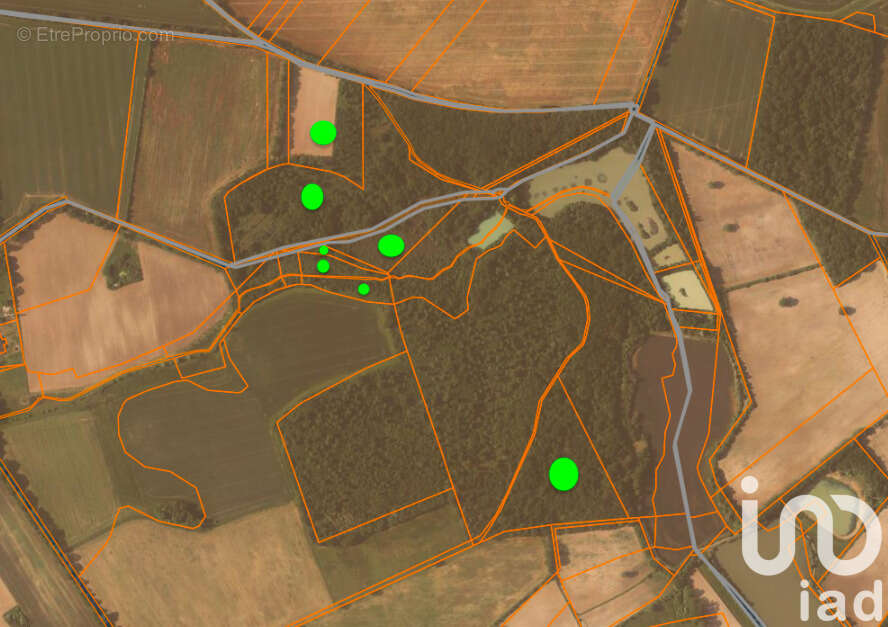 Photo 5 - Terrain à SAINT-MARTIN-L&#039;ARS