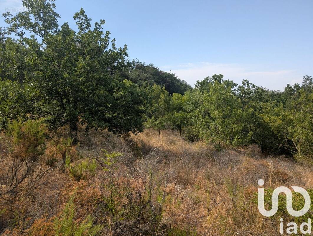 Photo 1 - Terrain à MAUREILLAS-LAS-ILLAS