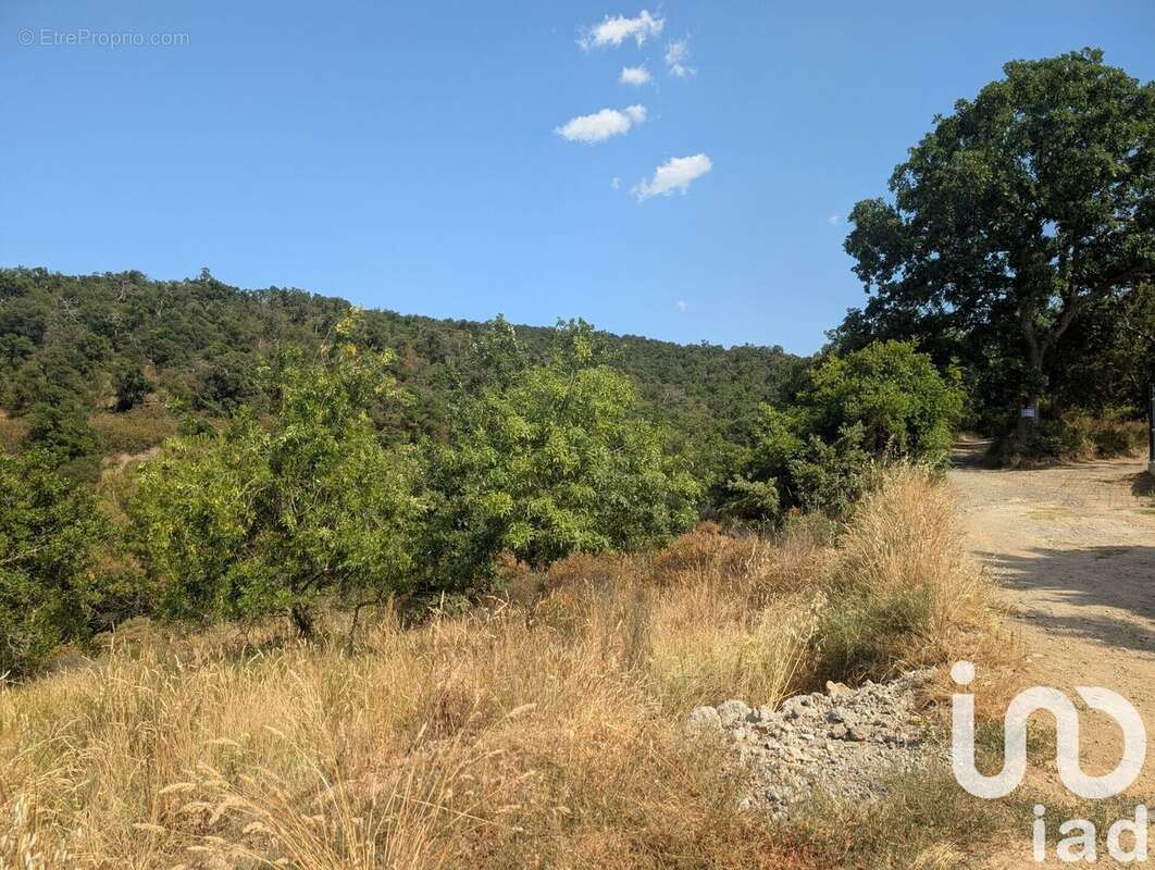 Photo 2 - Terrain à MAUREILLAS-LAS-ILLAS