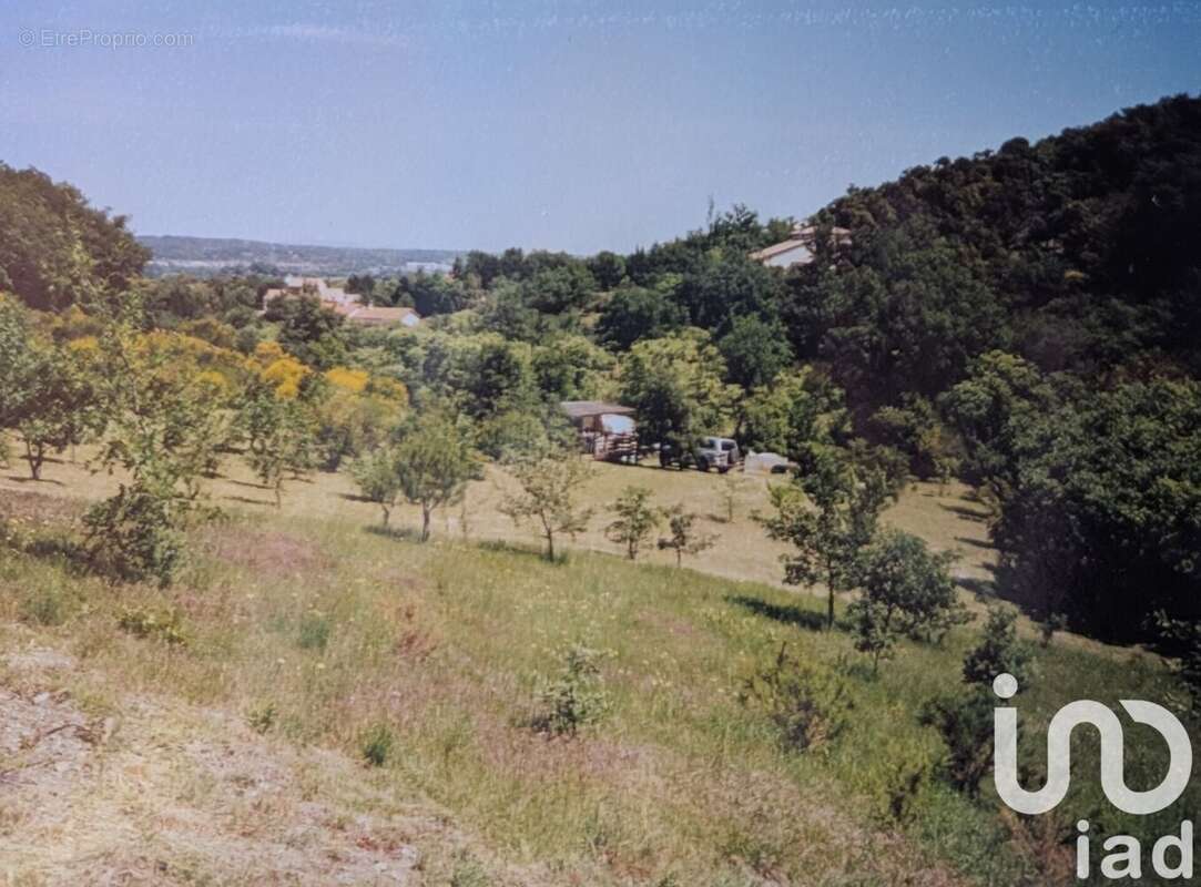 Photo 3 - Terrain à MAUREILLAS-LAS-ILLAS