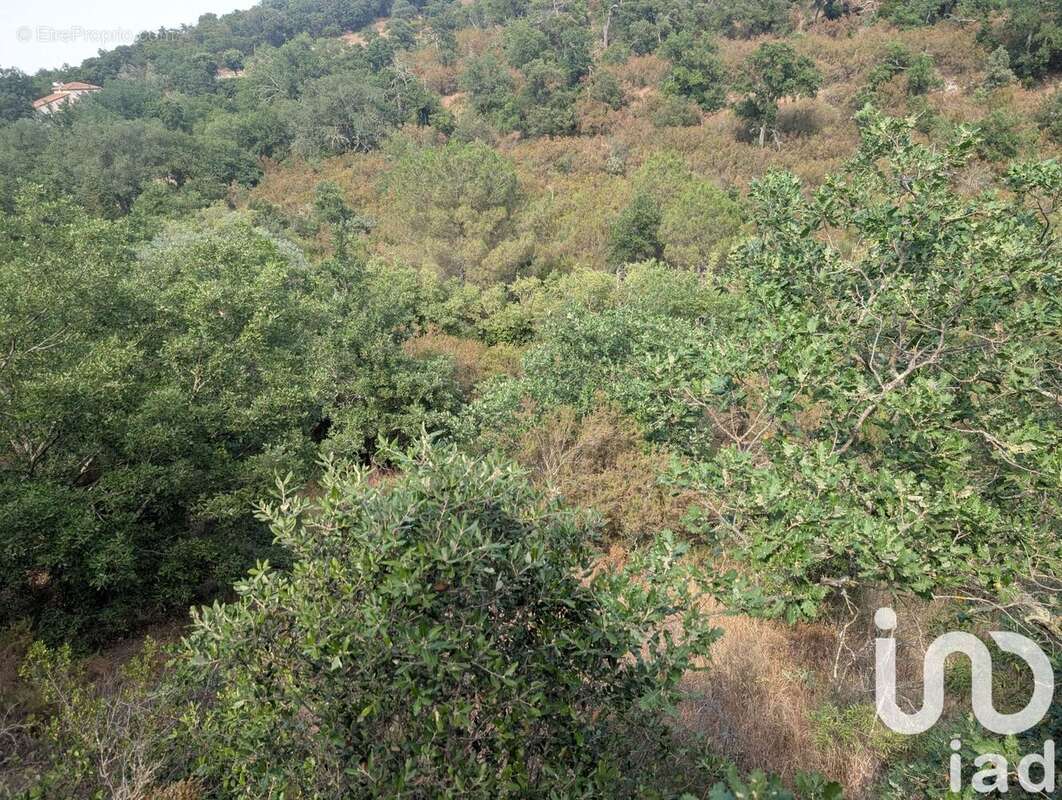 Photo 5 - Terrain à MAUREILLAS-LAS-ILLAS