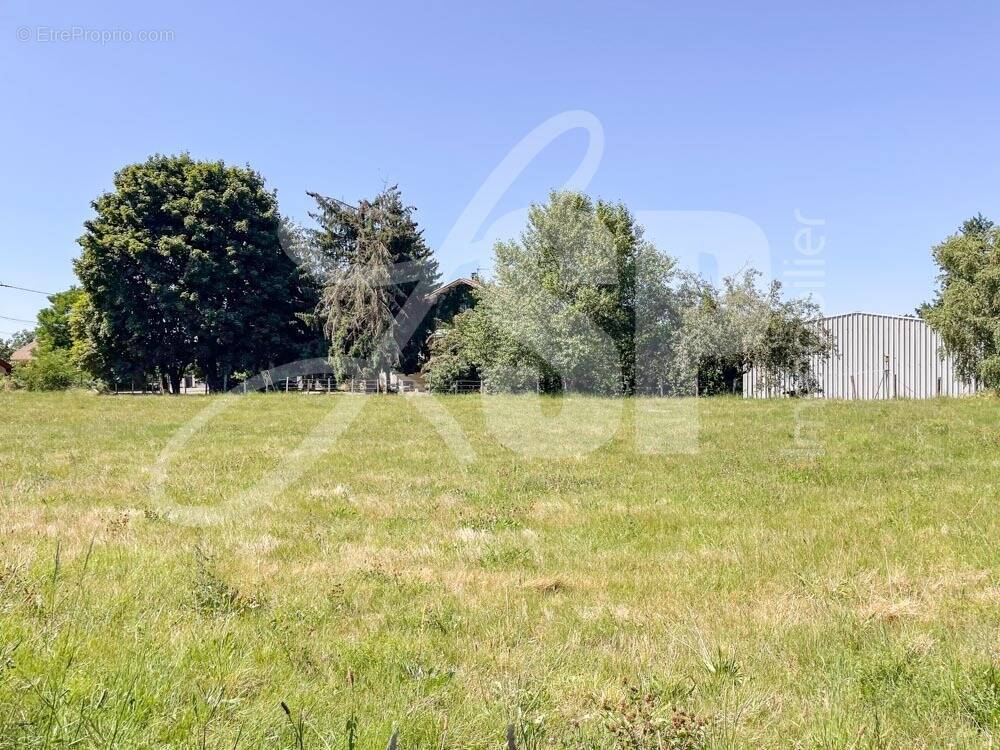 Terrain à bâtir (Lot 5) - Terrain à LONGECHENAL