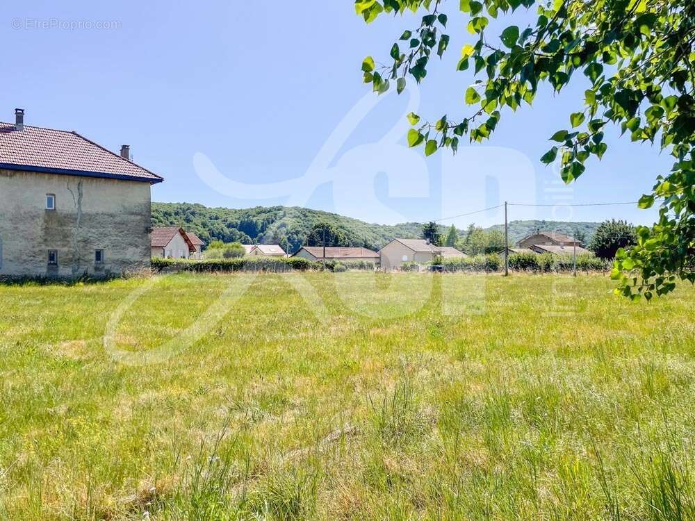 Terrain à bâtir (Lot 5) - Terrain à LONGECHENAL