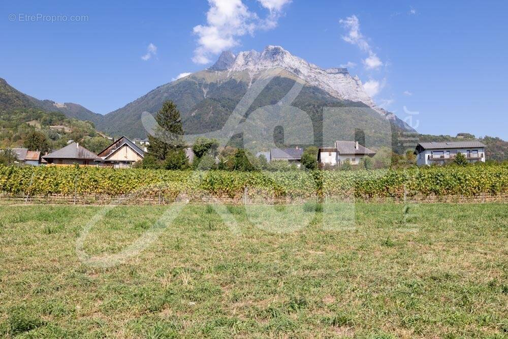 Terrain viabilisé (Lot 15) - Terrain à SAINT-PIERRE-D&#039;ALBIGNY