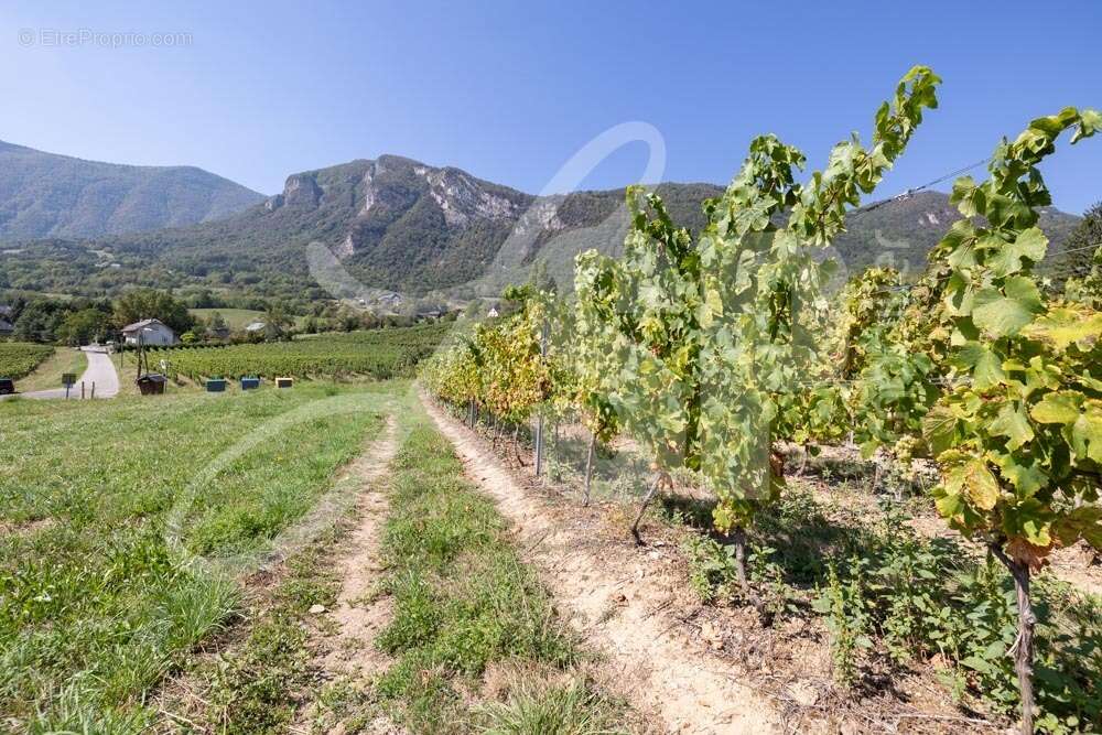 Terrain viabilisé (Lot 15) - Terrain à SAINT-PIERRE-D&#039;ALBIGNY