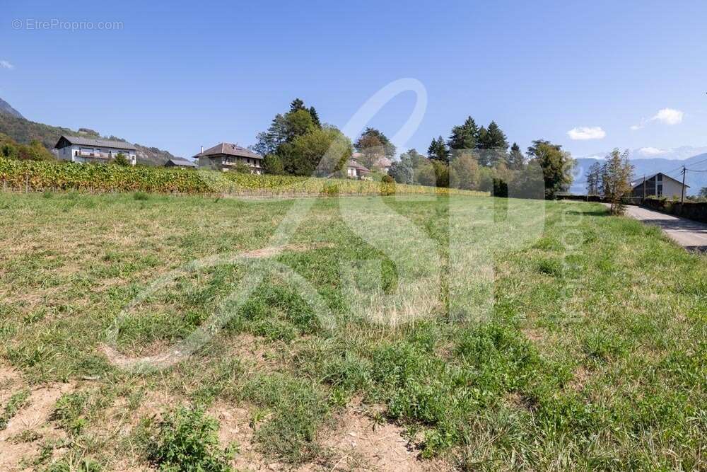 Terrain viabilisé (Lot 15) - Terrain à SAINT-PIERRE-D&#039;ALBIGNY