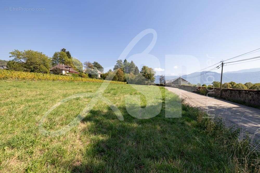 Terrain viabilisé (Lot 14) - Terrain à SAINT-PIERRE-D&#039;ALBIGNY