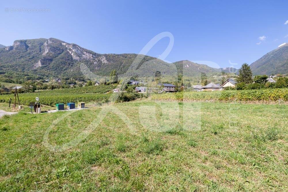 Terrain viabilisé (Lot 13) - Terrain à SAINT-PIERRE-D&#039;ALBIGNY