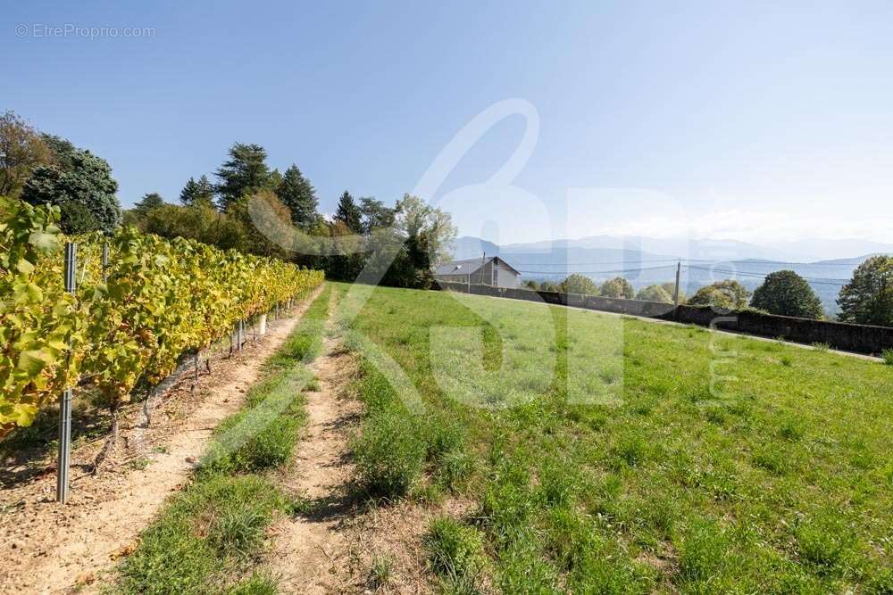 Terrain viabilisé (Lot 13) - Terrain à SAINT-PIERRE-D&#039;ALBIGNY