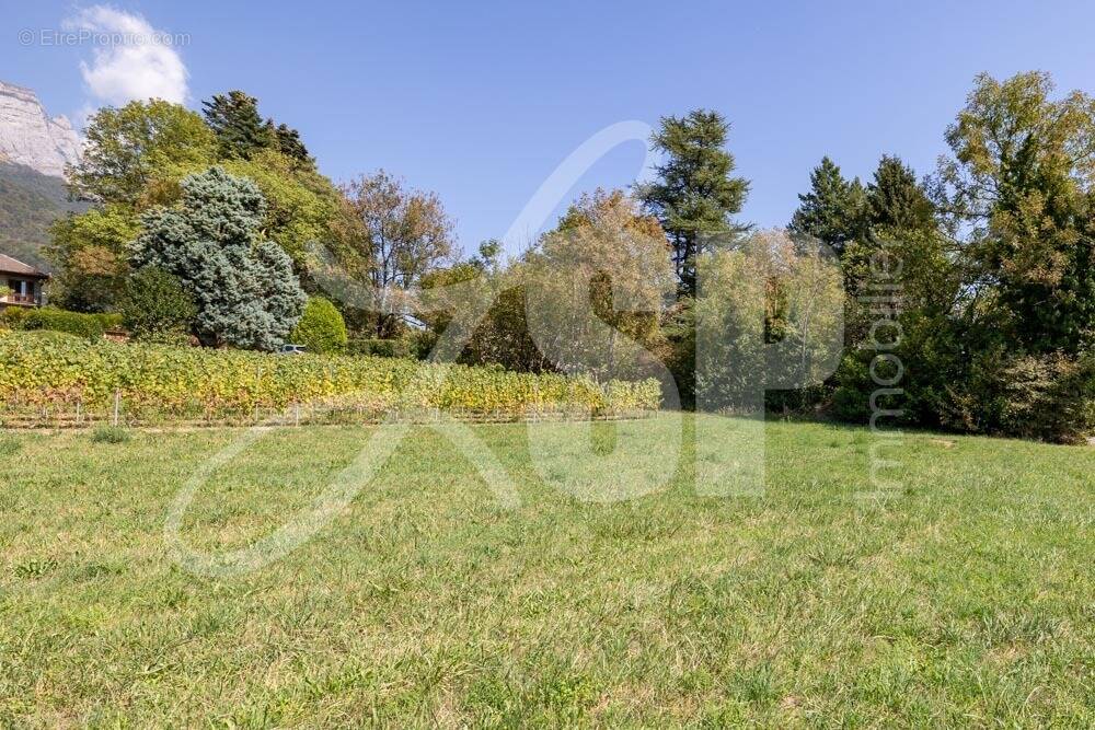 Terrain viabilisé (Lot 9) - Terrain à SAINT-PIERRE-D&#039;ALBIGNY