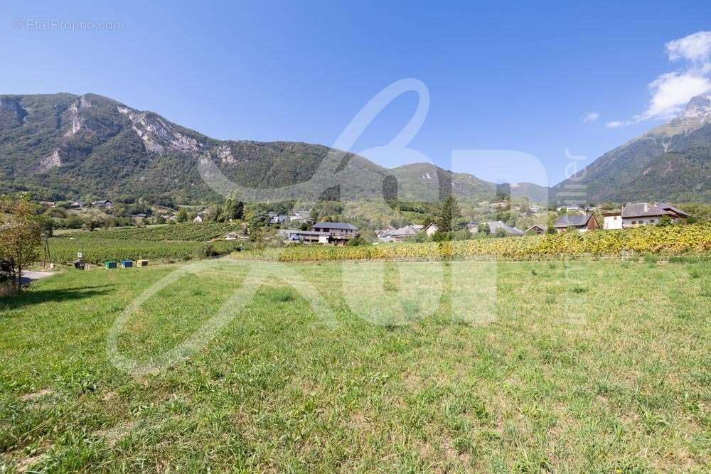 Terrain viabilisé (Lot 4) - Terrain à SAINT-PIERRE-D&#039;ALBIGNY