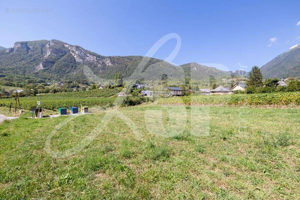 Terrain viabilisé (Lot 4) - Terrain à SAINT-PIERRE-D&#039;ALBIGNY