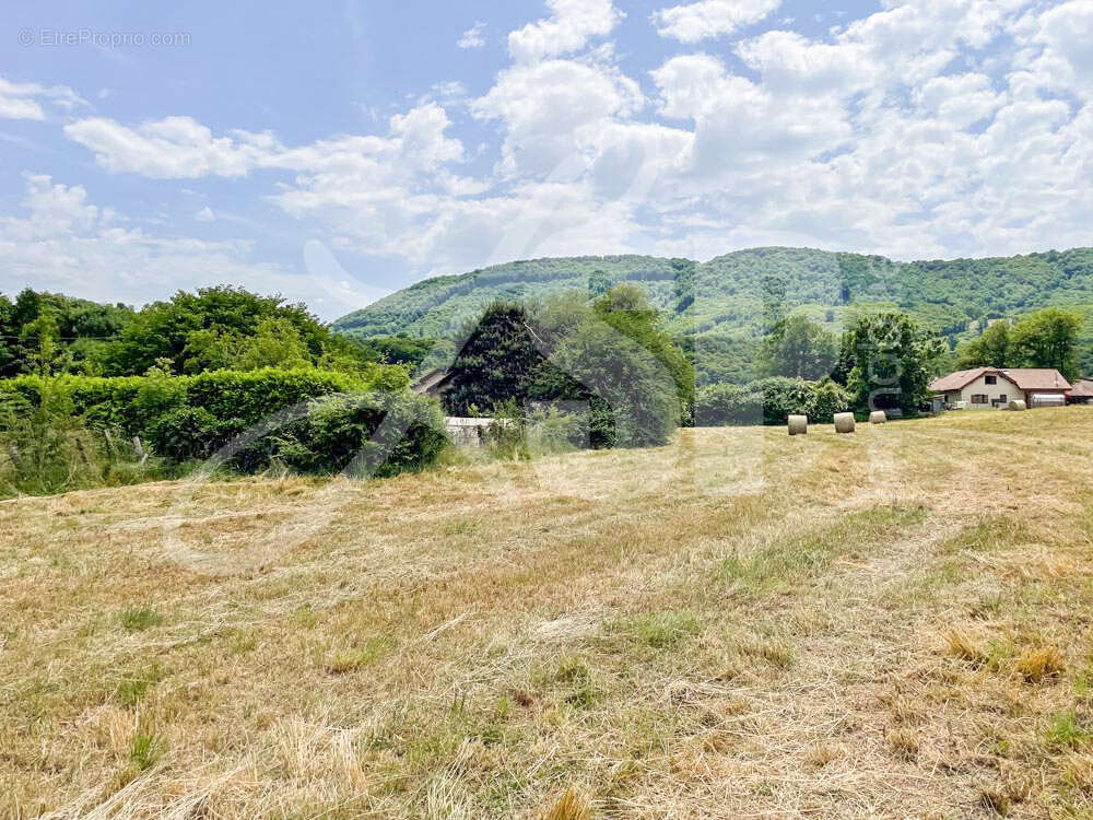 Terrain viabilisé (Lot 12 Bis) - Terrain à BEAUCROISSANT