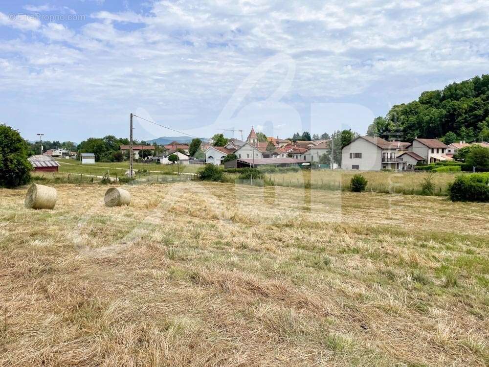 Terrain viabilisé (Lot 12) - Terrain à BEAUCROISSANT