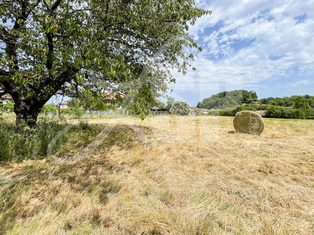 Terrain viabilisé (Lot 11) - Terrain à BEAUCROISSANT