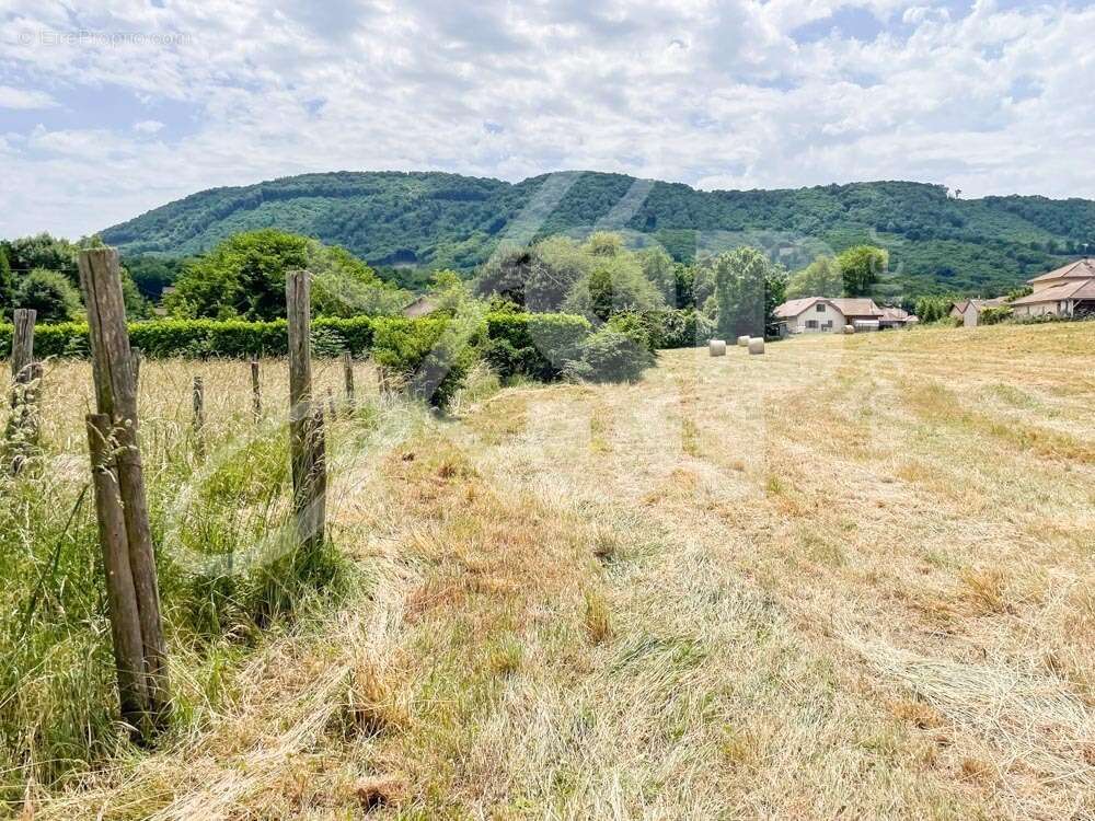 Terrain viabilisé (Lot 11) - Terrain à BEAUCROISSANT