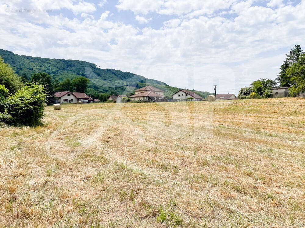 Terrain viabilisé (Lot 6) - Terrain à BEAUCROISSANT