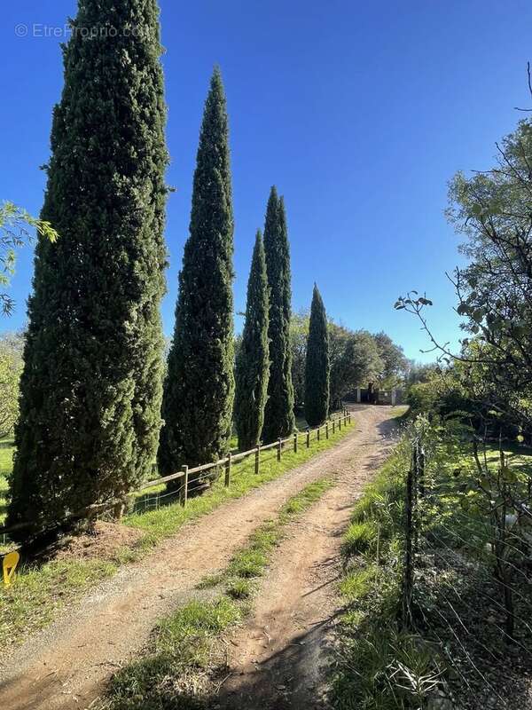 Terrain à BEDARIEUX