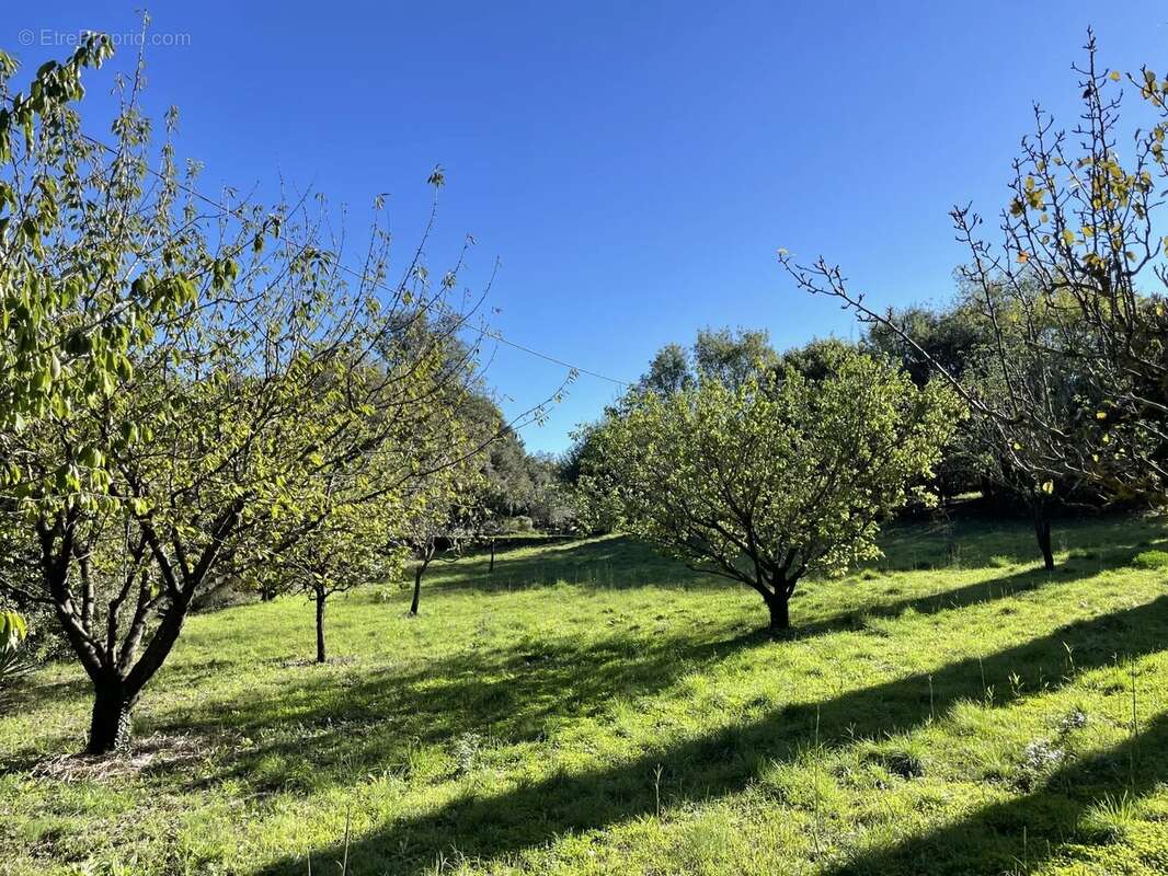 Terrain à BEDARIEUX