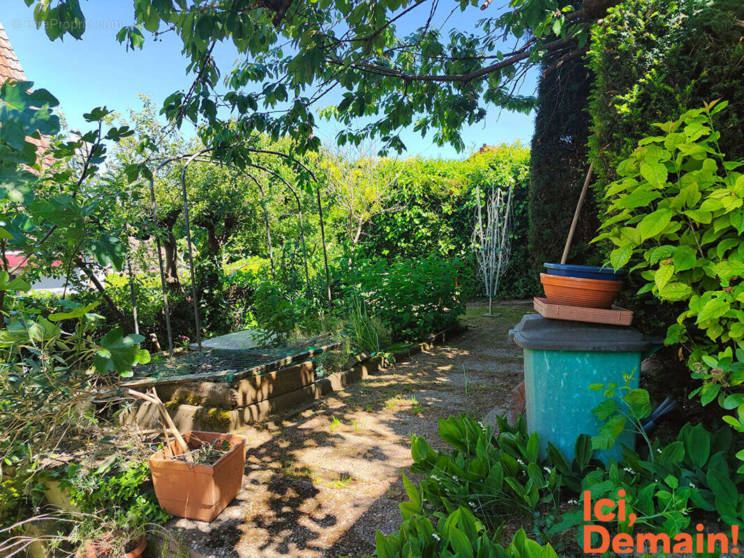 Maison à PFULGRIESHEIM