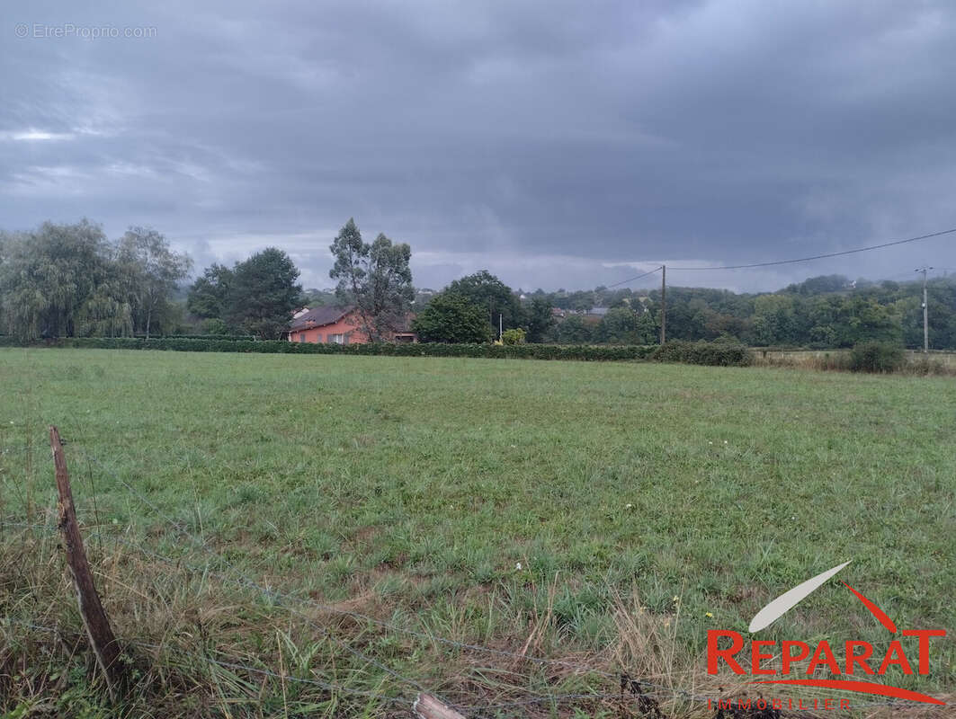 Terrain à SAINT-VIANCE