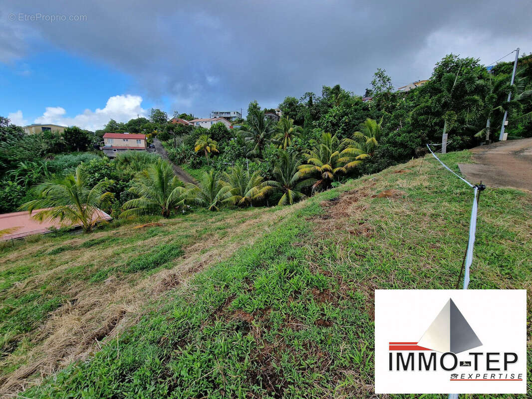 Terrain à SAINTE-LUCE