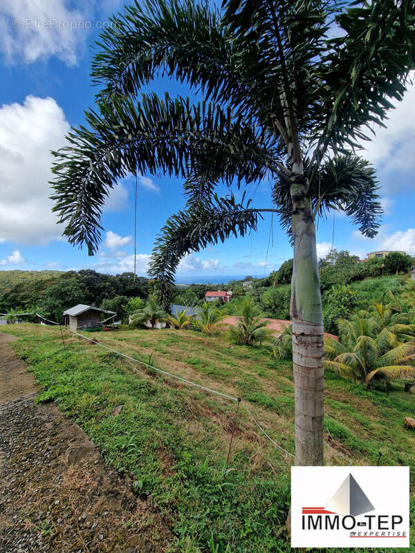 Terrain à SAINTE-LUCE