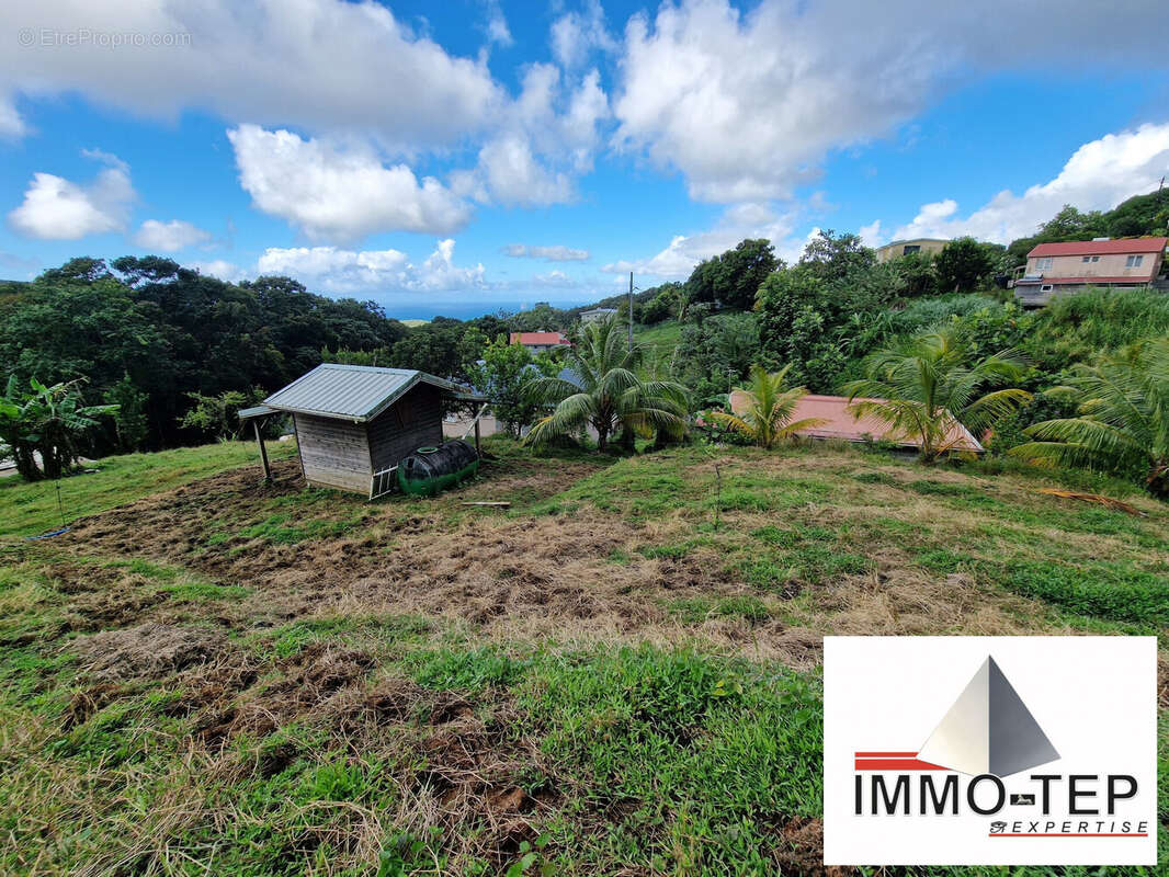 Terrain à SAINTE-LUCE