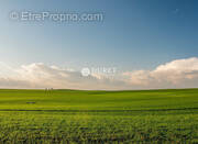 Terrain à FONTENAY-LE-COMTE