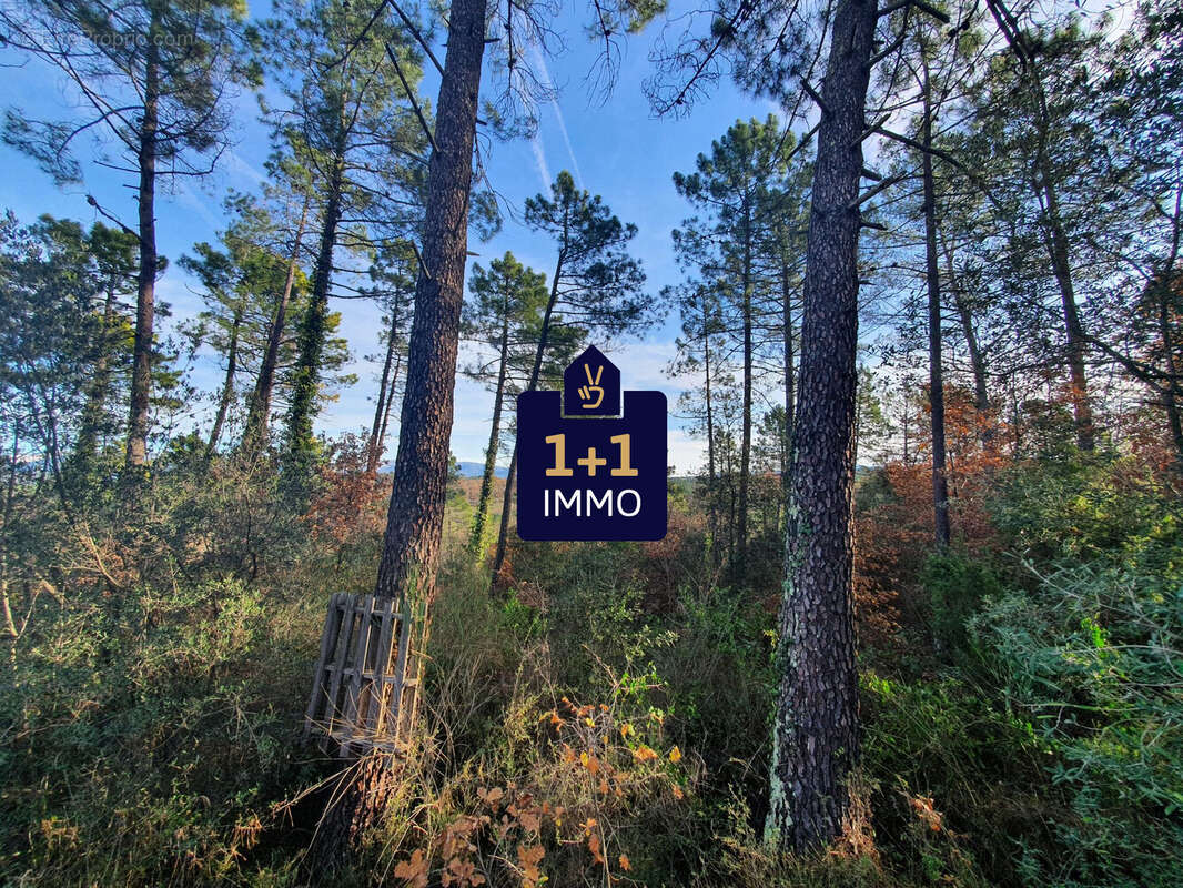 Terrain à SAINT-PAUL-EN-FORET