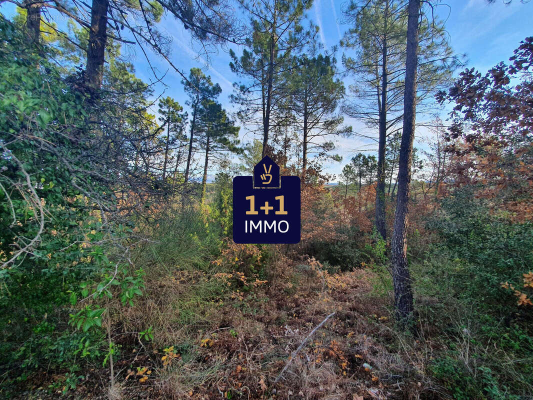 Terrain à SAINT-PAUL-EN-FORET