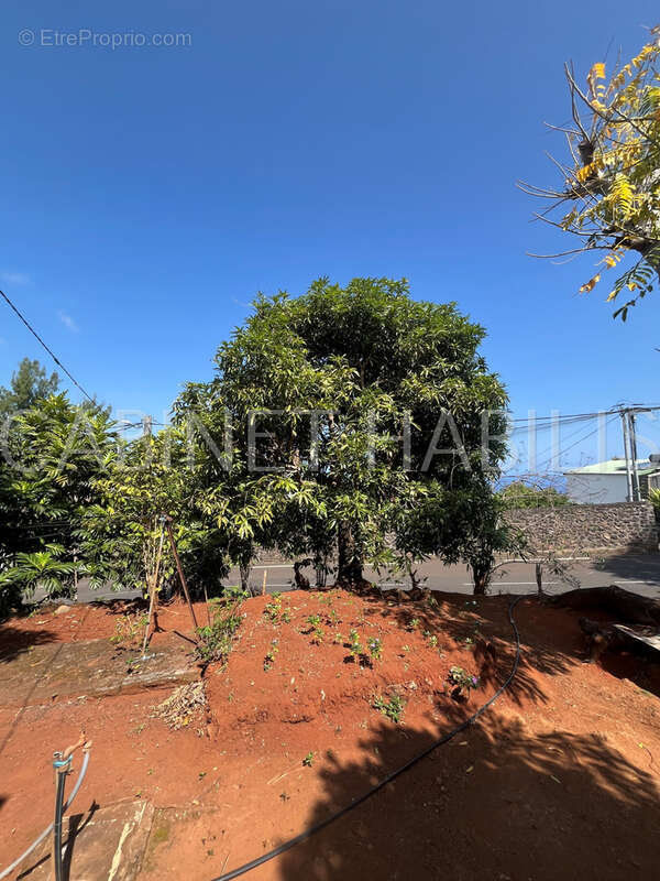 Terrain à LES AVIRONS