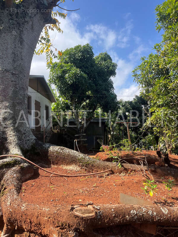 Terrain à LES AVIRONS