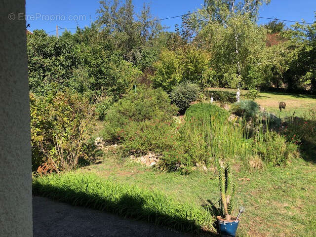 Maison à VILLEFRANCHE-DE-ROUERGUE