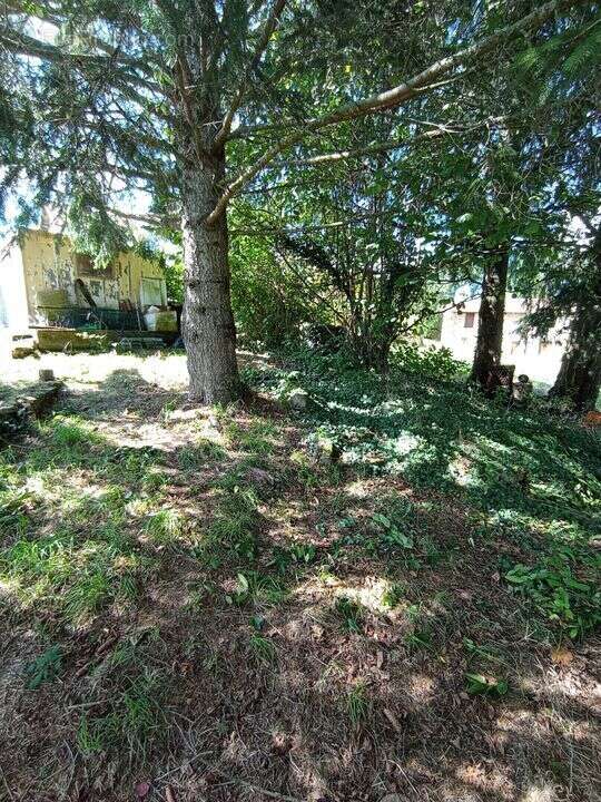 Maison à SAINT-CLEMENT