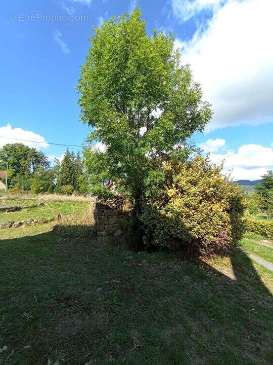 Maison à SAINT-CLEMENT