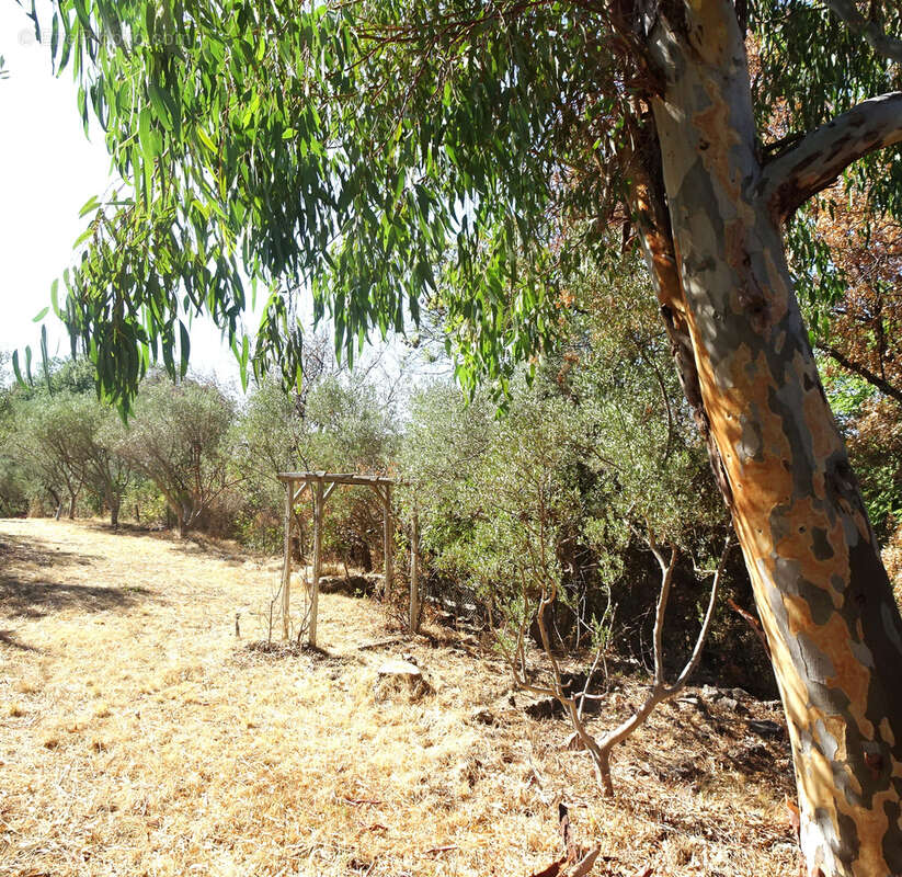 Terrain à PUGET-VILLE