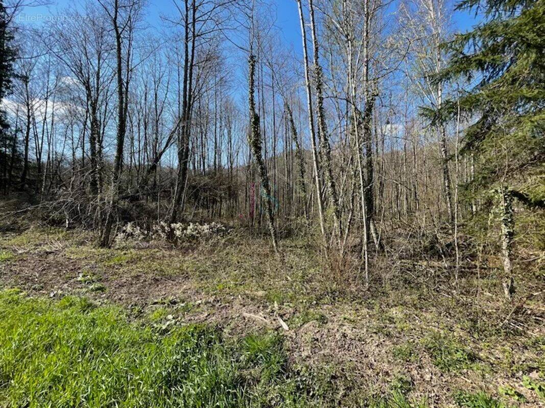 Terrain à SCHIRMECK