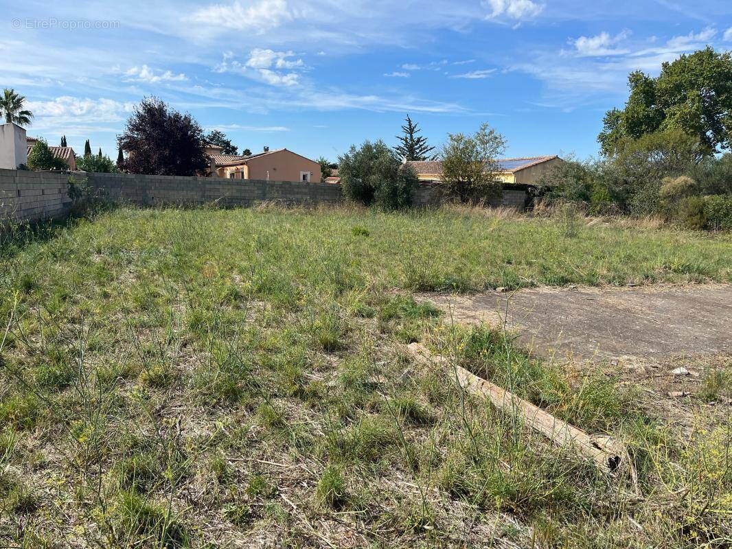 Terrain à USCLAS-D&#039;HERAULT