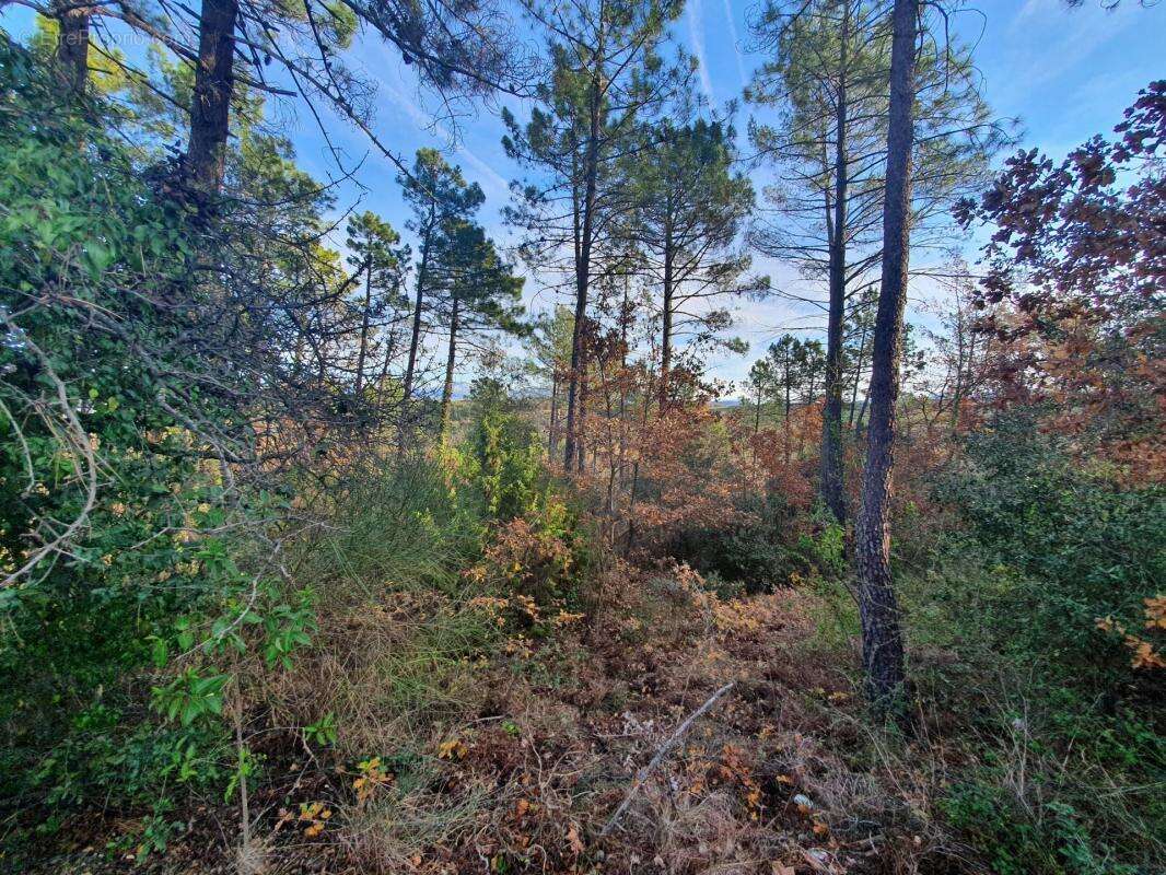 Terrain à SAINT-PAUL-EN-FORET