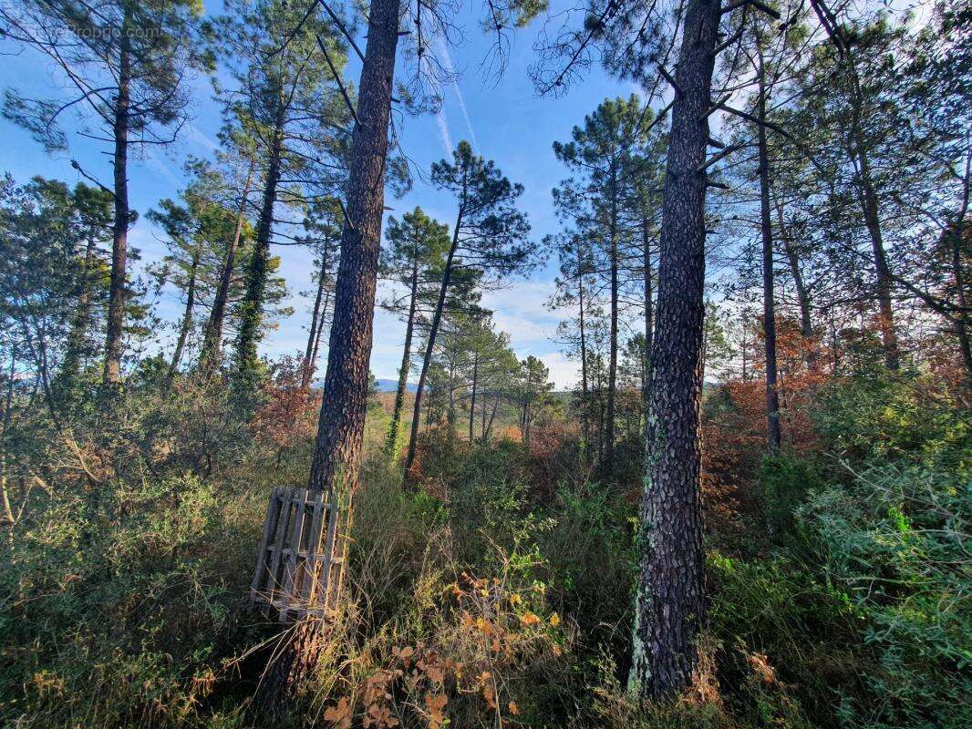 Terrain à SAINT-PAUL-EN-FORET