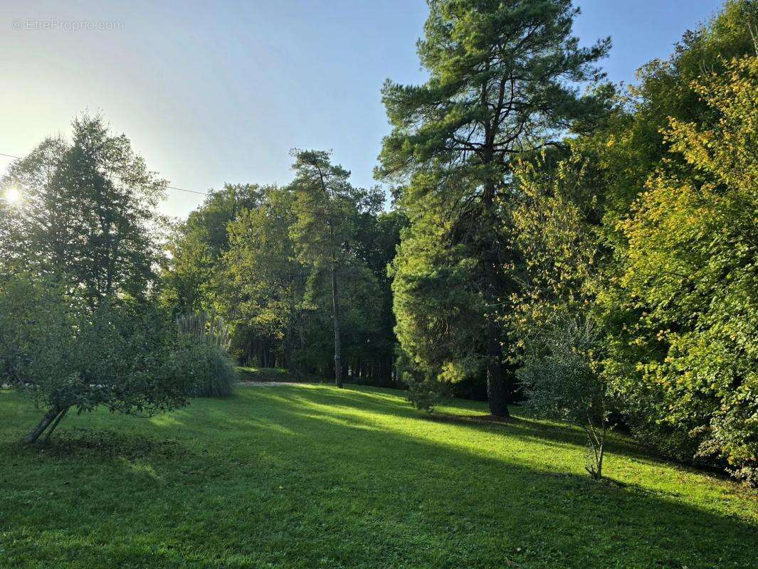 Maison à VERTEILLAC